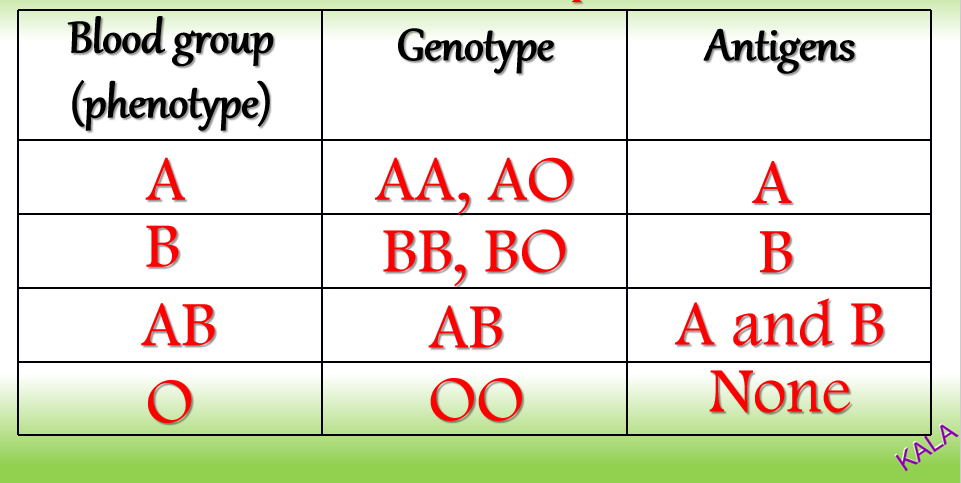 Inheritance of ABO Blood Groups - KALA