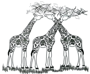Long-necked giraffes survive and transmitt the characteristic to offspring
